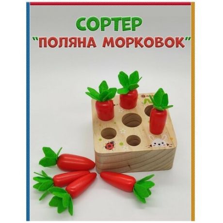 BestToy Деревянная развивающая игрушка сортер 'Поляна морковок'