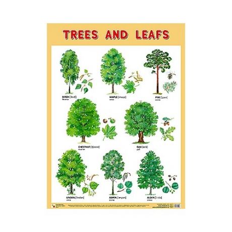 Плакат Мозаика-Синтез TREES AND LEAFS (Деревья и листья)