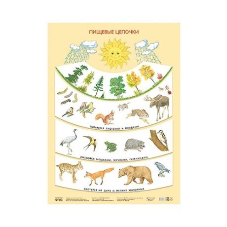 Плакат Мозаика-Синтез Пищевые цепочки