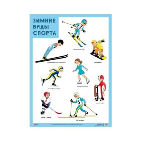 Плакат Мозаика-Синтез Зимние виды спорта