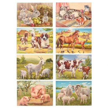 Демонстрационные картины "Домашние животные" 8 плакатов, А3+