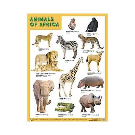 Плакат Мозаика-Синтез ANIMALS OF AFRICA (Животные Африки)