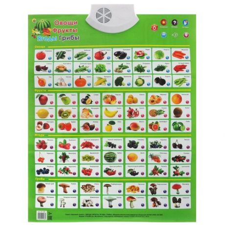 Электронный плакат Рыжий кот Овощи, фрукты, ягоды, грибы зеленый