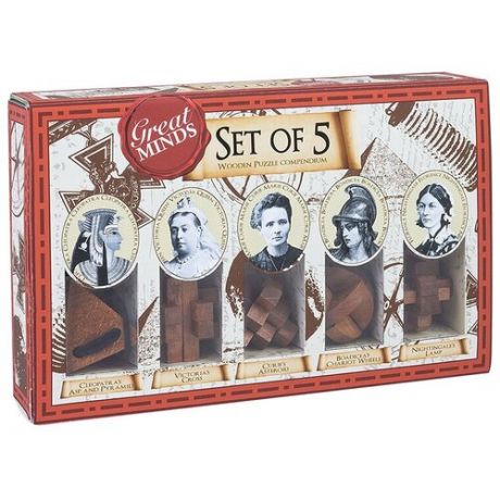 Набор головоломок Professor Puzzle Great Minds Women’s Set of 5 Puzzles (GM1528) 5 шт. коричневый