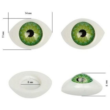 Глаза круглые выпуклые цветные "Magic 4 Toys", цвет: зеленый, 14 мм, 50 штук