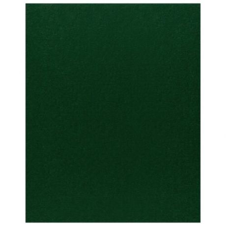 Фетр Rayher моделируемый, размер листа 30 х 45 см (формат А3), толщина 1 мм, цвет: зеленый