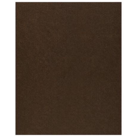 Фетр Rayher моделируемый, размер листа 30 х 45 см (формат А3), толщина 1 мм, цвет: темно-коричневый