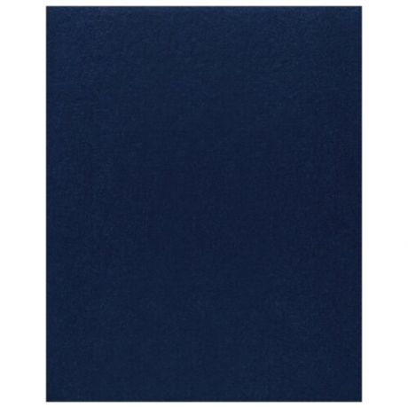 Фетр Rayher моделируемый, размер листа 30 х 45 см (формат А3), толщина 1 мм, цвет: темно-синий