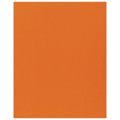 Фетр Rayher моделируемый, размер листа 30 х 45 см (формат А3), толщина 1 мм, цвет: оранжевый