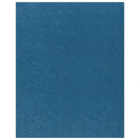 Фетр Rayher моделируемый, размер листа 30 х 45 см (формат А3), толщина 1 мм, цвет: светло-синий