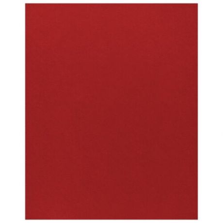 Фетр Rayher моделируемый, размер листа 30 х 45 см (формат А3), толщина 1 мм, цвет: ярко-красный