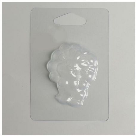 Пластиковая форма для мыла «Озорной львёнок