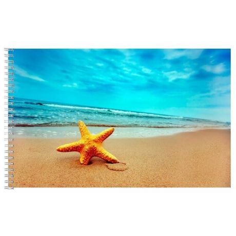 Альбом для рисования, скетчбук Морская звезда на берегу моря