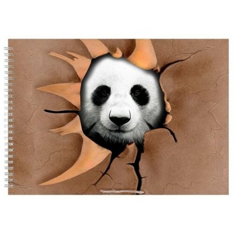 Альбом для рисования, скетчбук Панда