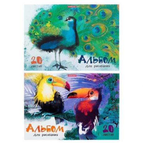 Альбом для рисования А4, 20 листов, на клею, Erich Krause «Птицы жарких стран», обложка мелованный картон, жёсткая подложка, блок 120 г/м2