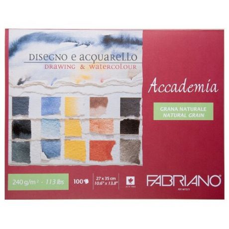 Альбом для зарисовок Fabriano Accademia 240г/м. кв 35x27см мелкозернистая 100 листов склейка по 1 стороне