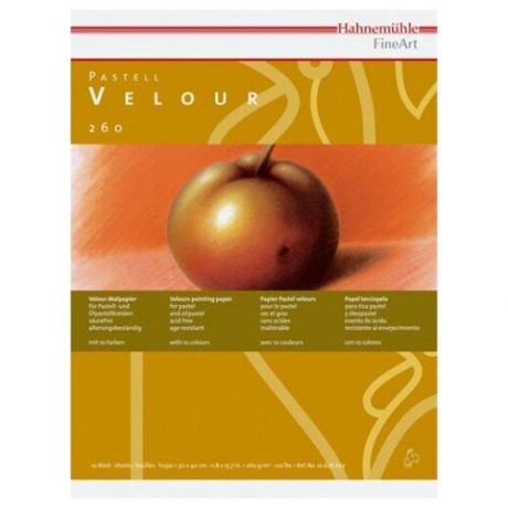 Hahnemuhle Склейка для пастели «Velour», 30х40см, 260 г/м2, 10 цветов sela
