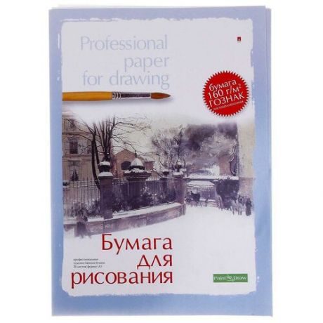 Папка для рисования Альт Professional paper for drawing 42 х 29.7 см (A3), 160 г/м², 20 л.