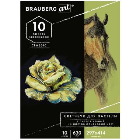 Альбом для пастели Brauberg Art 5+5 листов 105924