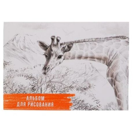 Альбом для рисования А4, 40 листов на склейке "Жираф", обложка мелованный картон, блок 100 г/м2