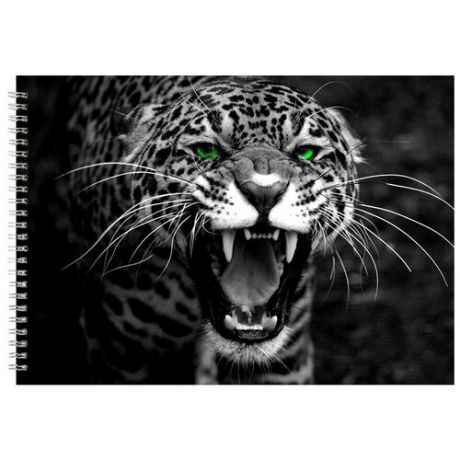 Альбом для рисования, скетчбук Ягуар с зелеными глазами