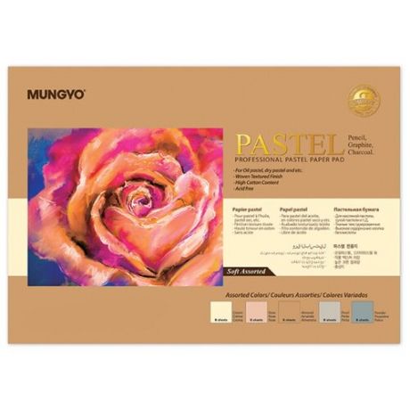 Альбом-склейка для пастели MUNGYO "Pastel" А4 30 л 160 г (5 цветов х 6 листов)