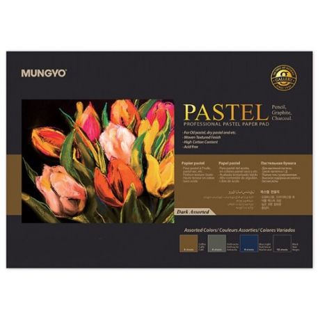 Альбом-склейка для пастели MUNGYO "Pastel" А3 20 л 160 г (3 цв х 4 листа + черная 8 листов)