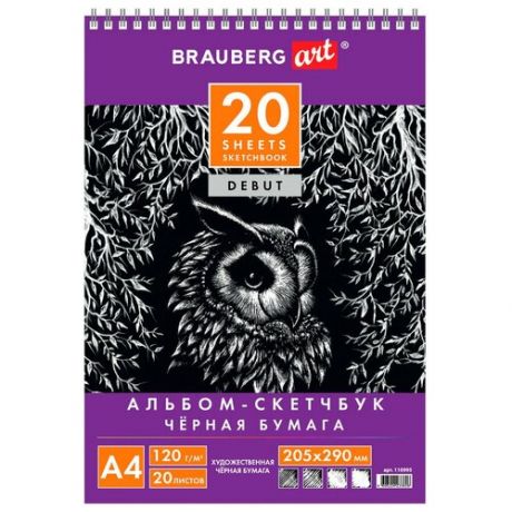 Скетчбук для эскизов и графики BRAUBERG Art Debut 29.7 х 21 см (A4), 120 г/м², 20 л.