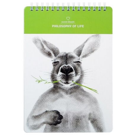 Альбом для рисования "Kangaroo", 40 листов, 120 г/м2, 14,4 х 20,4 см