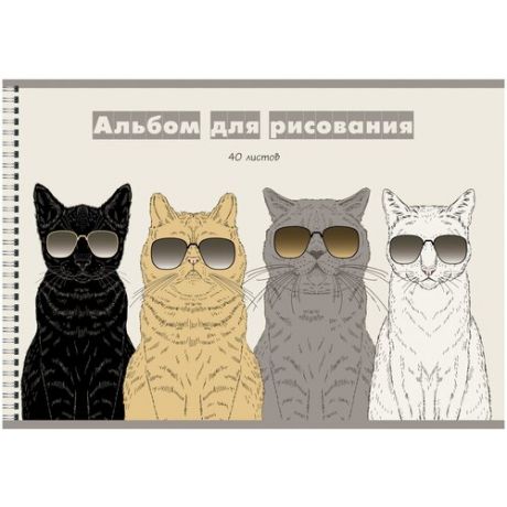 Альбом для рисования "Команда котов", А4, 40 листов
