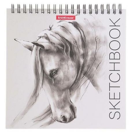 Альбом для эскизов, 17 х 17 см, 40 листов, на спирали, ErichKrause Wild Horse
