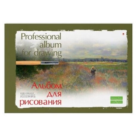 Альбом для рисования А4 20 Л. на склейке серия "профессиональная" 2 ОБЛ Цена за 1 шт.