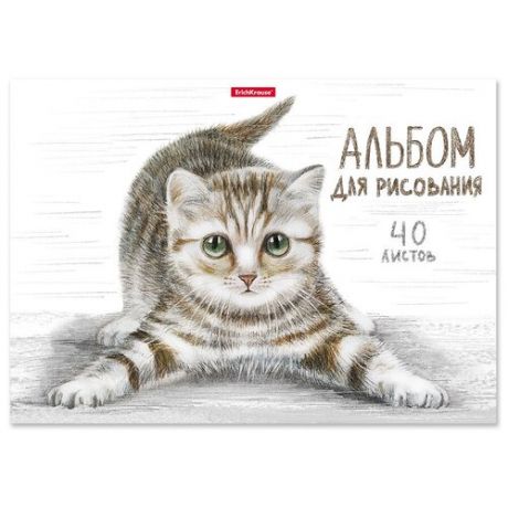 Альбом для рисования ErichKrause Tabby 29.7 х 21 см (A4), 120 г/м², 40 л.