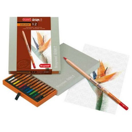 Набор карандашей цветных Bruynzeel-Sakura "Design" 12 шт профессиональные в картоне