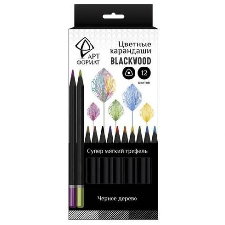 Набор цветных карандашей АРТформат Blackwood 12 цветов супер мягкий грифель трехгранные черное дерево