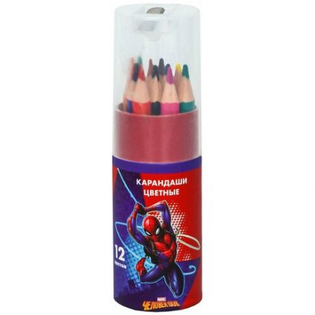 Карандаши цветные с точилкой в тубусе мини, 12 цветов, "Супергерой", Человек-Паук