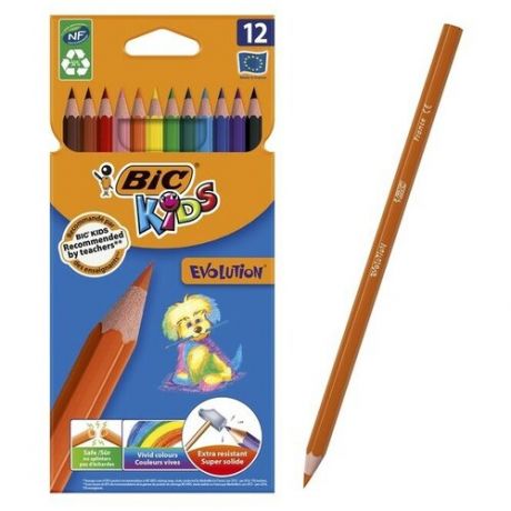 BIC Цветные карандаши 12 цветов, детские, ударопрочные, пластиковые, BIC Kids Evolution ECOlutions