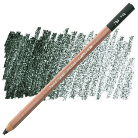 Пастельные карандаши Caran d`Ache Карандаш пастельный Caran d’Ache Pastel, 719 Зеленый ФЦ темный
