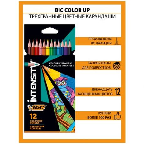 Цветные карандаши 12 цветов, для подростков и взрослых, трёхгранные, BIC Color Up 4965866 .