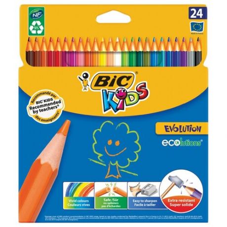 BIC Цветные карандаши Evolution 24 цвета (937515)