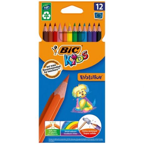 BIC Цветные карандаши Evolution 12 цветов (82902910)