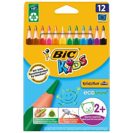BIC Цветные карандаши Evolution Triangle 12 цветов (8297356)