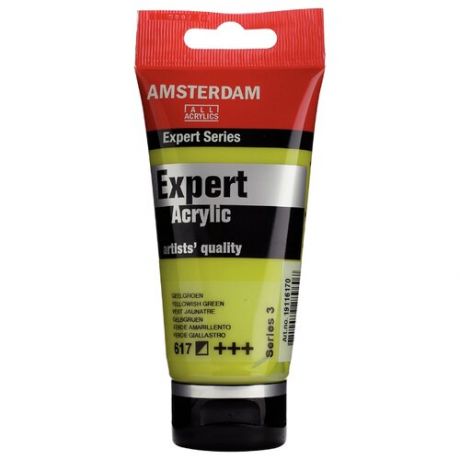 Акрил Talens "Amsterdam Expert" 75 мл №617 Желтовато-зеленый