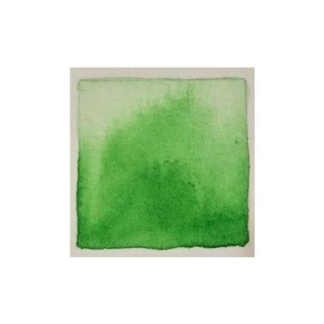ShinHan Korea Акварельная краска "Pwc" 567 зеленый перманентный №2 15 мл