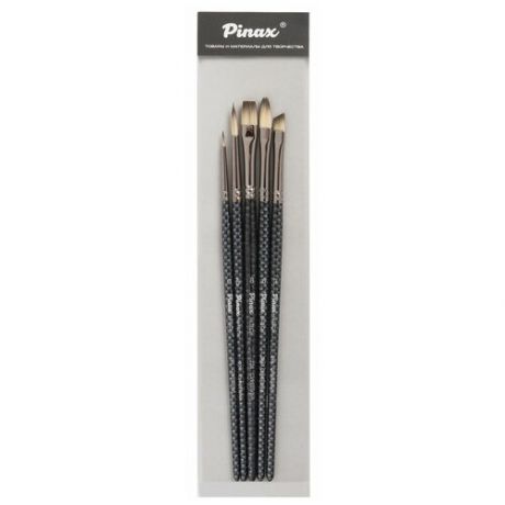 Набор кистей Pinax Artists Hi-Tech, синтетика, с короткой ручкой, 5 шт.