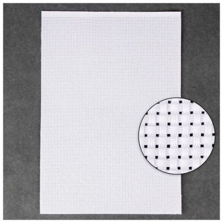 Канва для вышивания №11, 30 × 20 см, цвет белый
