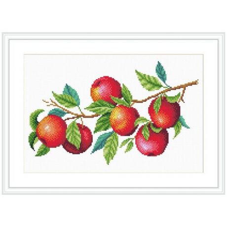Канва с рисунком М. П. Студия №2, 30*40 см, СК-106, "Урожай яблок