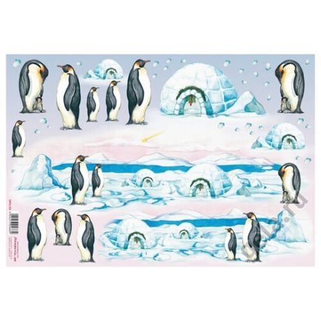 Бумага рисовая Пингвины STAMPERIA 48 х 33 см DFS139
