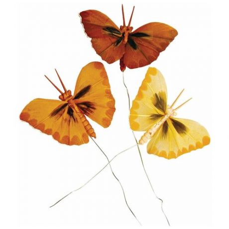 Набор декоративных элементов Бабочки RAYHER 2 x 4 см 8518305