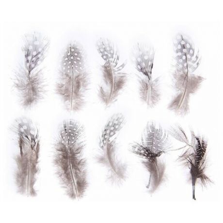Набор перьев для декора 10 шт размер 1 шт: 5 × 2 см, цвет коричневый с белым